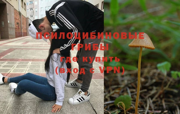 МДПВ Алзамай